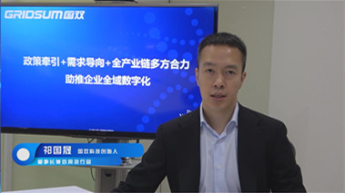 政策牽引+需求導向+全產(chǎn)業(yè)鏈合力,，助推企業(yè)全域數(shù)字化