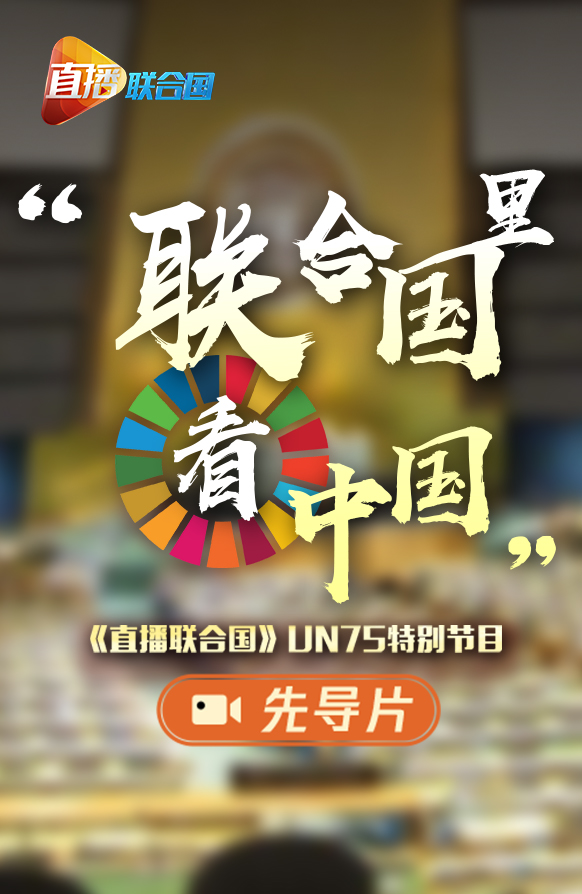 聯(lián)合國(guó)日,，一起來看看他們眼中的中國(guó)