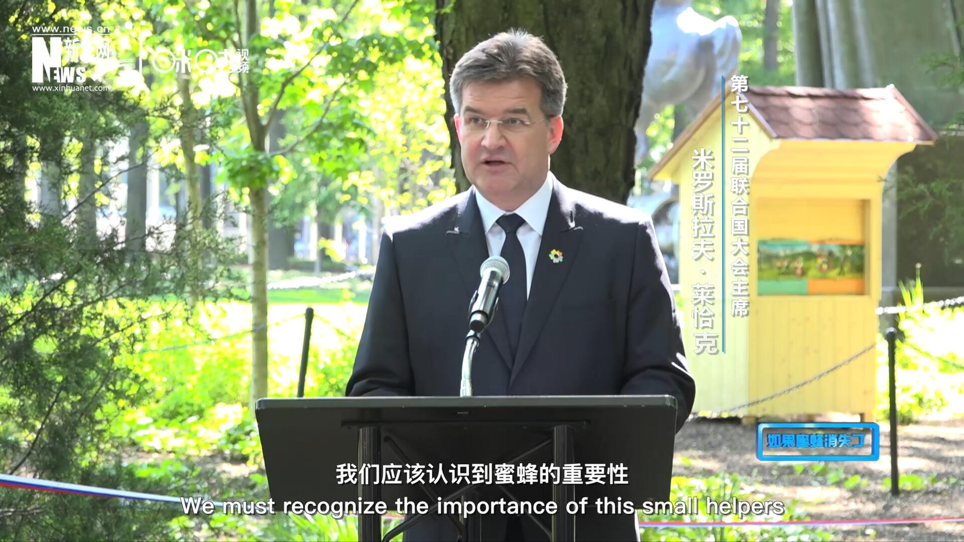 我們應該認識到蜜蜂的重要性,，所以我們用“世界蜜蜂日”提高大家保護蜜蜂的意識,，并且用實際行動去保護蜜蜂