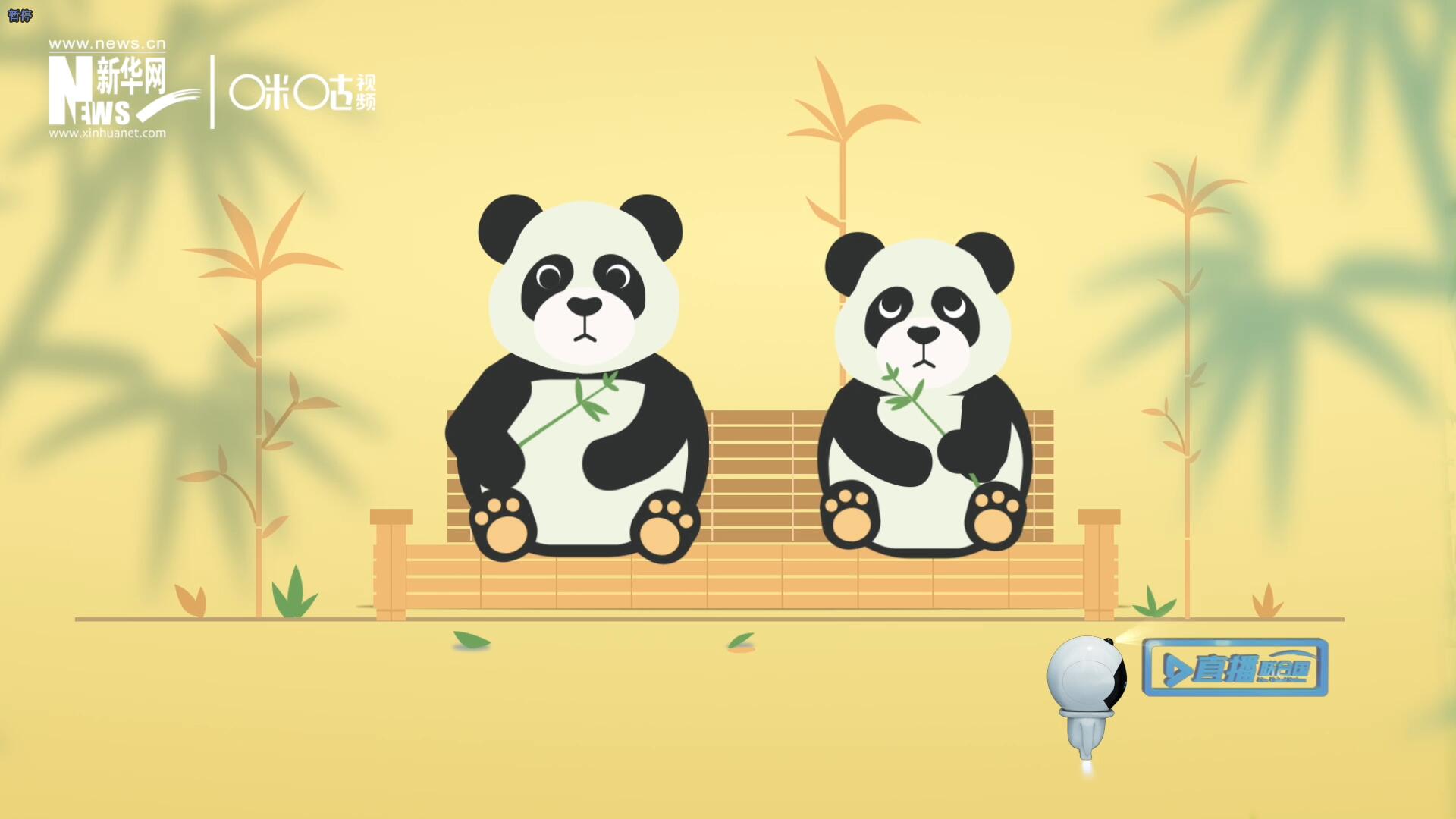 “哥哥你看,，又有人來看我們了,。”“有什么奇怪的，我們可是聯(lián)合國‘最萌’的大使??！”。
