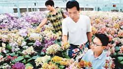 臺商眼中的改革開放：風(fēng)景這邊獨好 要去,，要去,，要去,！